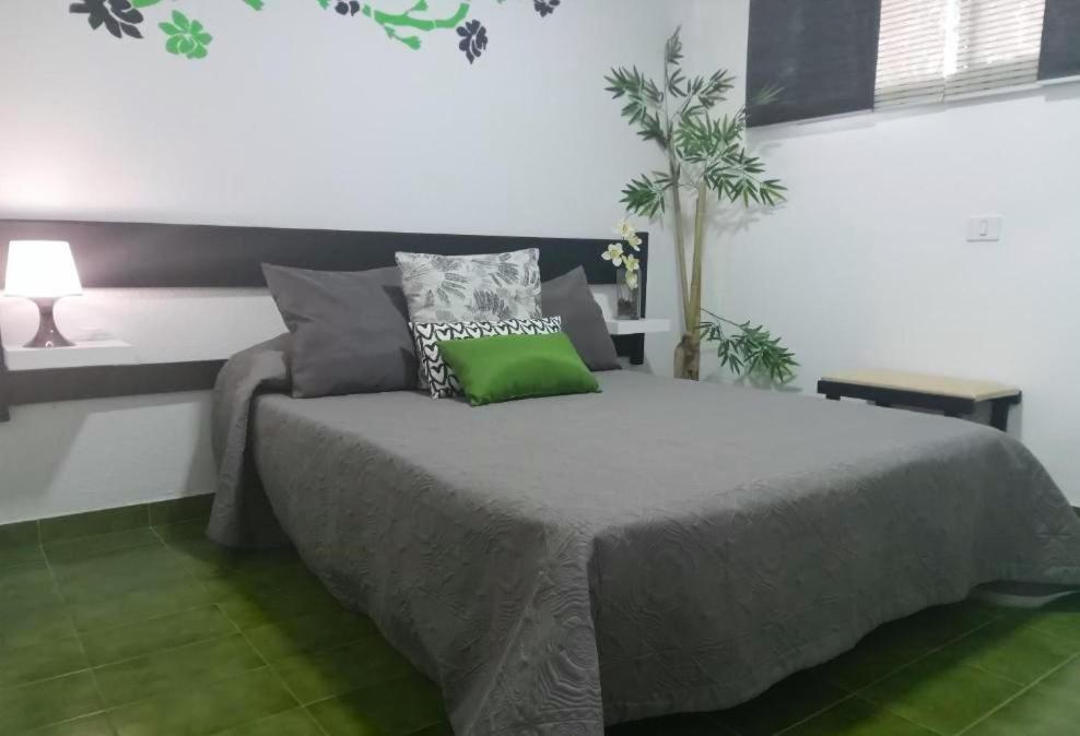 Surycan Tropical Garden Apartment Playa del Ingles  Exterior photo